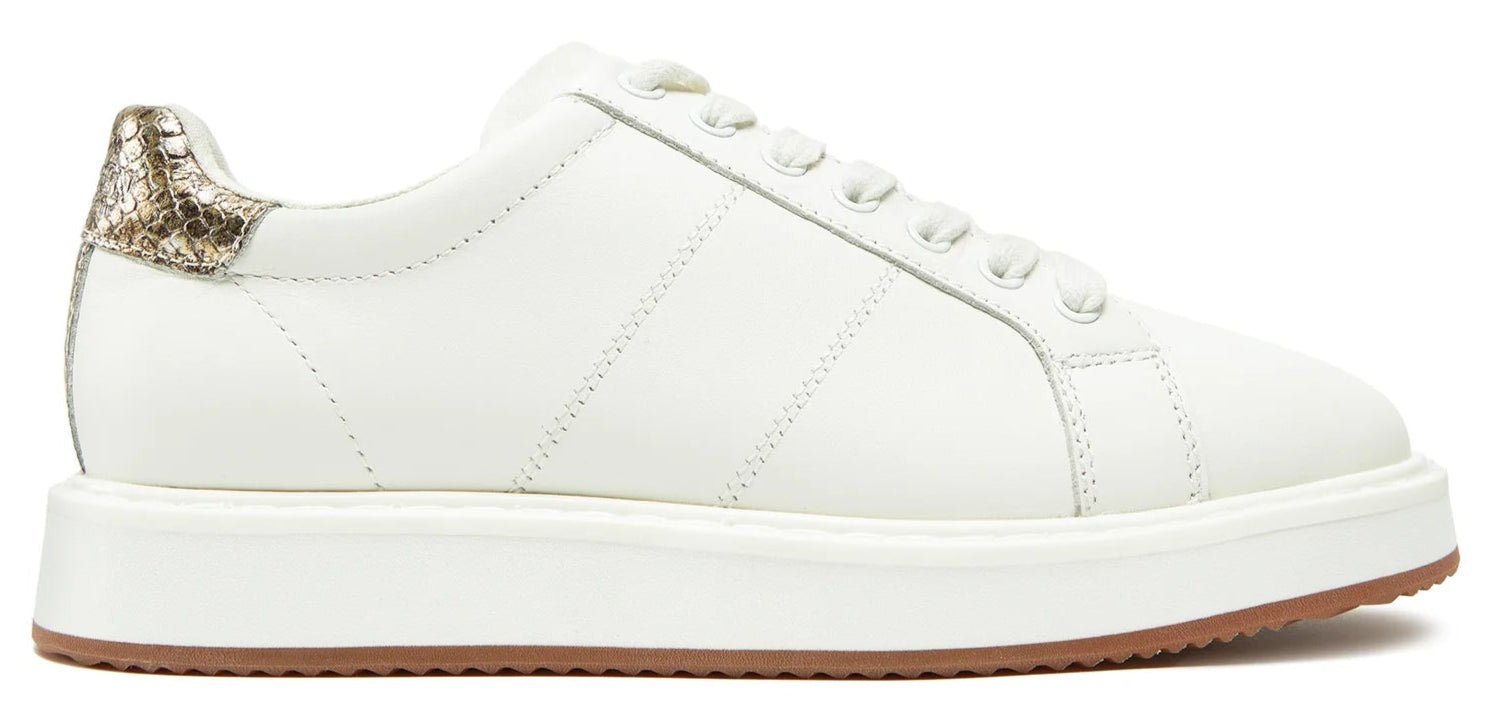 RALPH LAUREN Angeline 4 Lr Sneakers - Footcourt Egypt