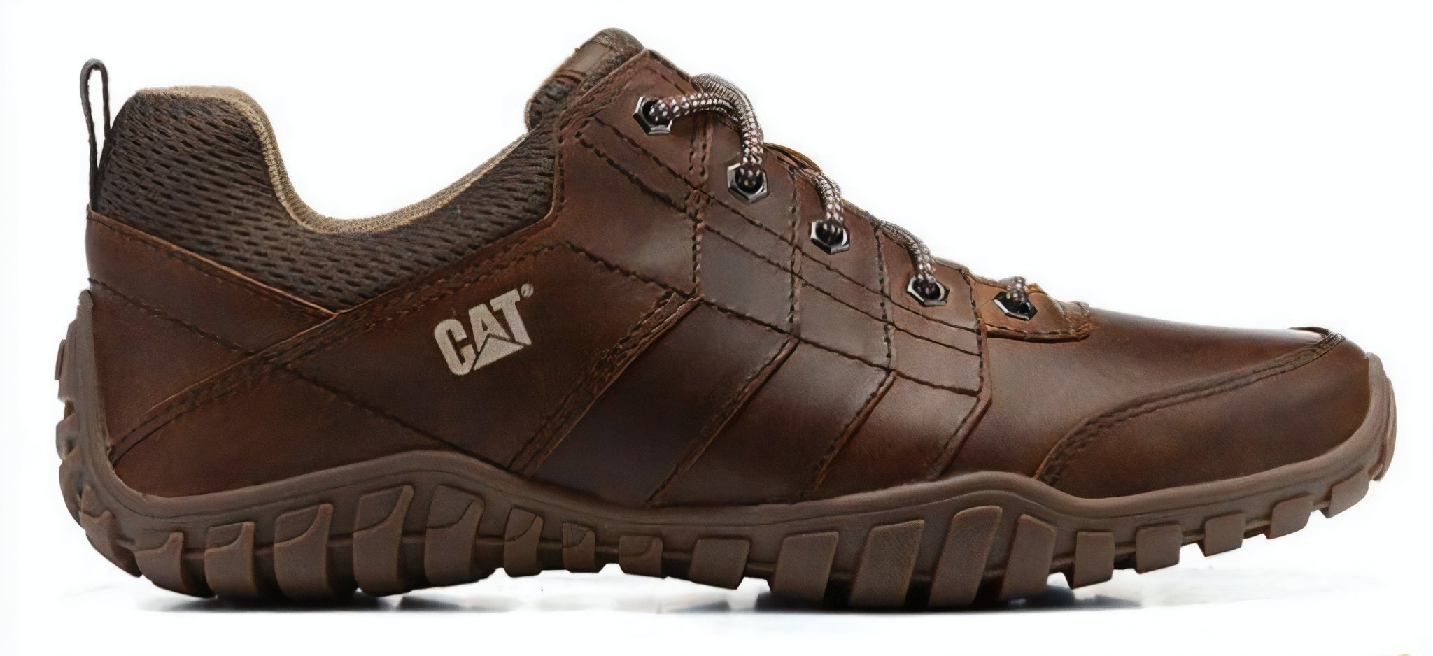 Cat instruct shoe top